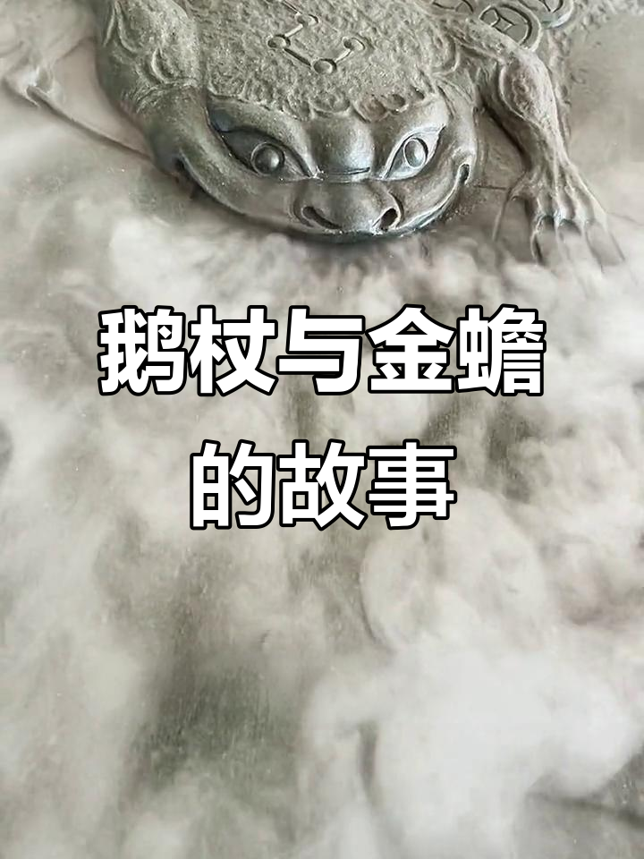 金蝉与天鹅的悲剧:前世缘尽,来生愿为荷叶守护
