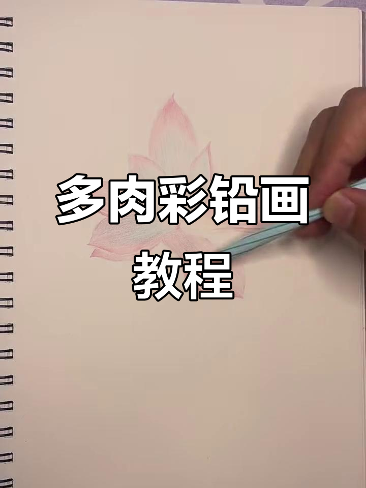 广寒宫多肉彩铅绘画技巧全程解析
