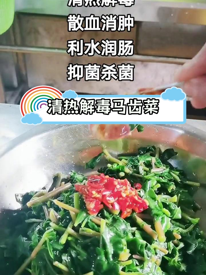 马齿苋的独特功效与食用禁忌
