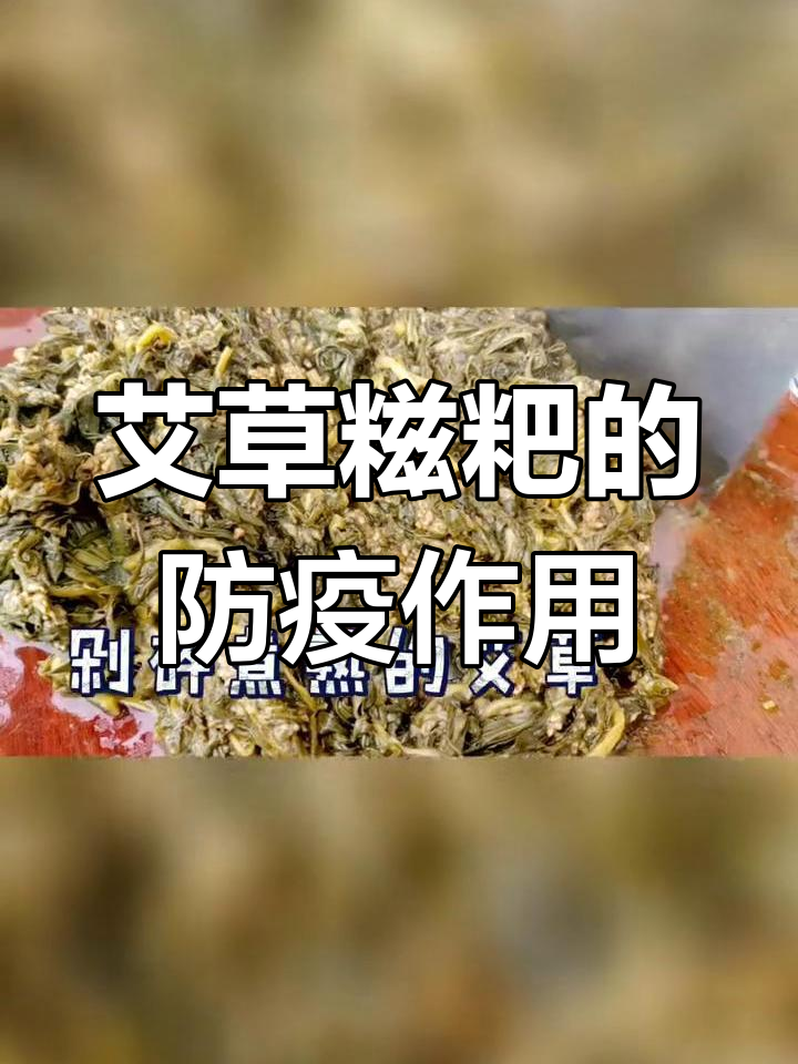 古代瘟疫防治秘方:艾草糍粑的制作与功效