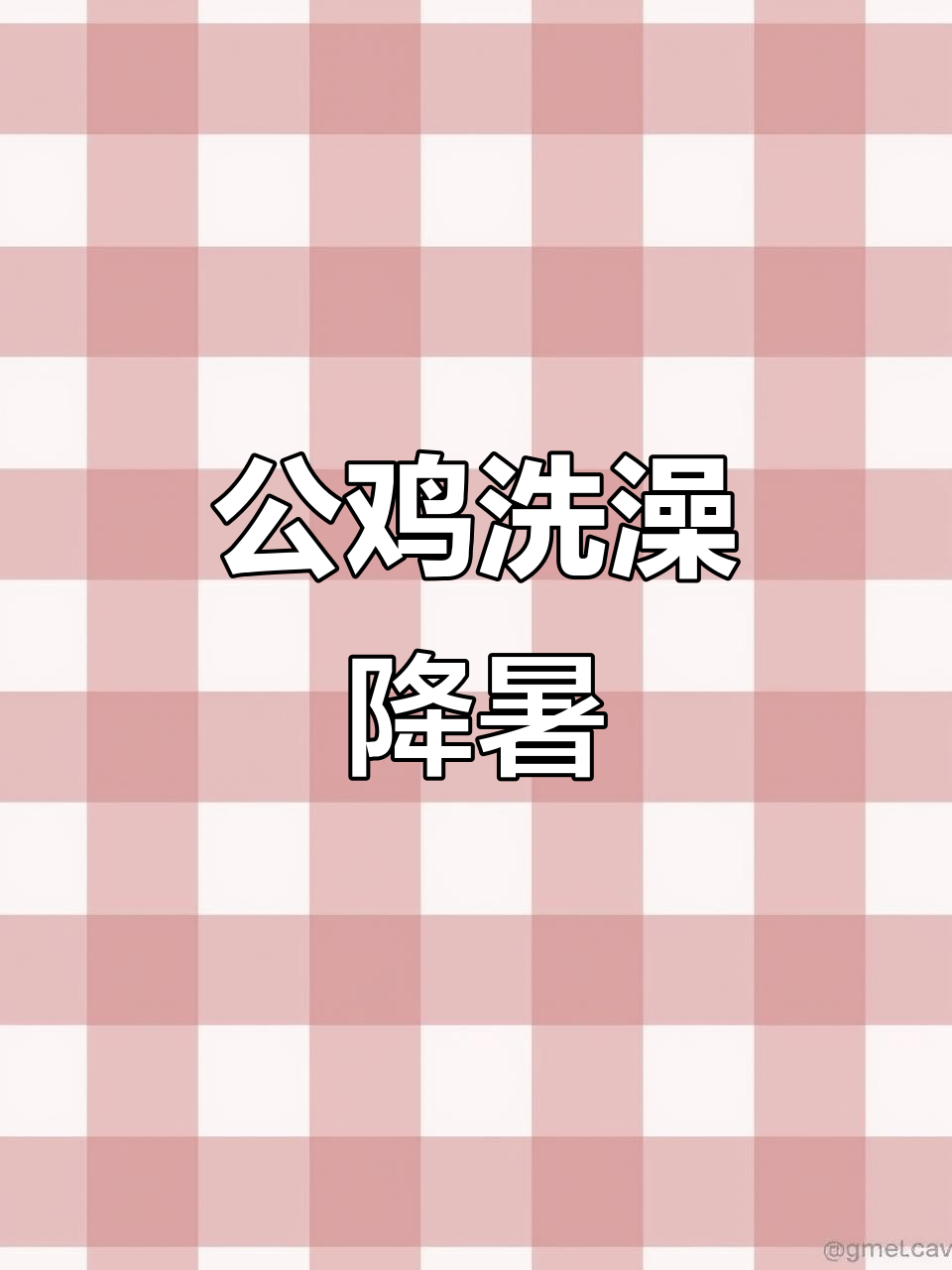 天气太热,公鸡洗澡降温,乖巧懂事让人忍俊不禁
