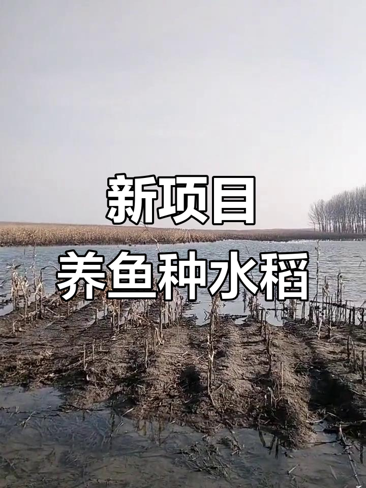 鱼米香回归,旅游观光新项目上线!
