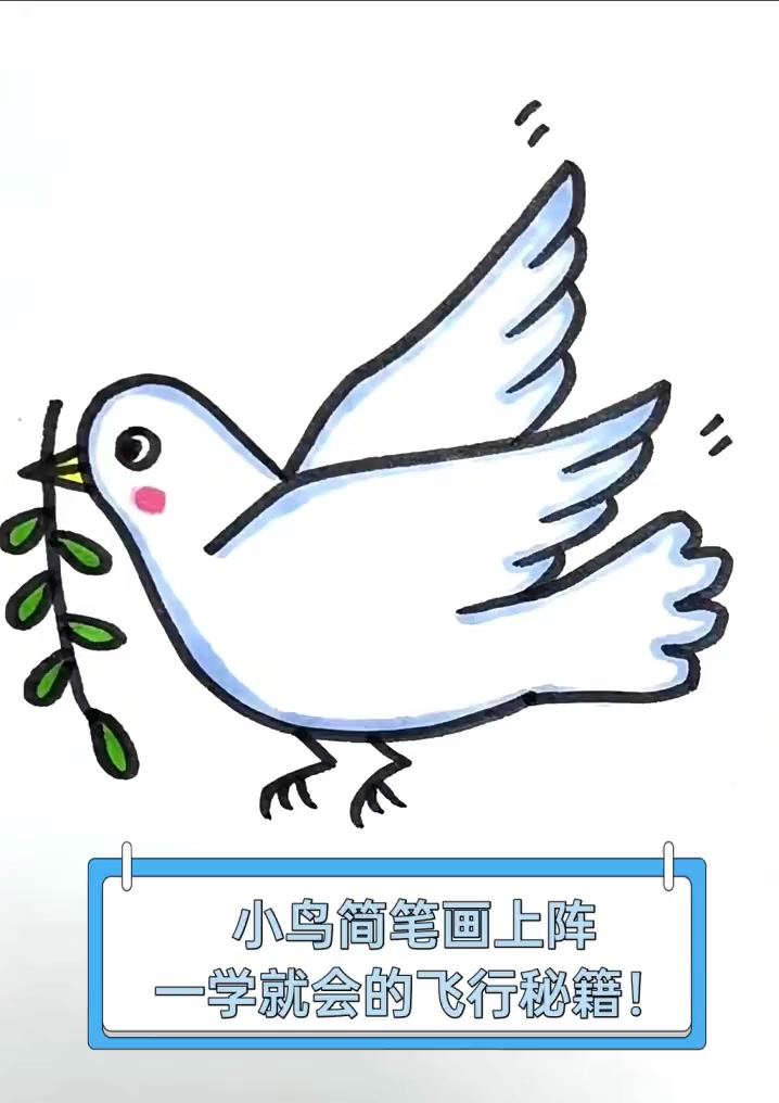 小鸟简笔画上阵,一学就会的飞行秘籍!