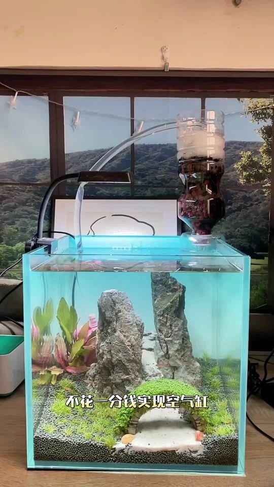 自制无底座简约鱼缸过滤，新手一看就会