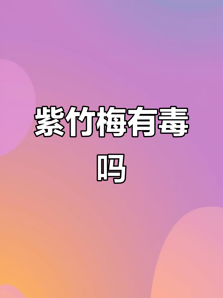 紫竹梅真的无毒吗?晚上释放二氧化碳要注意
