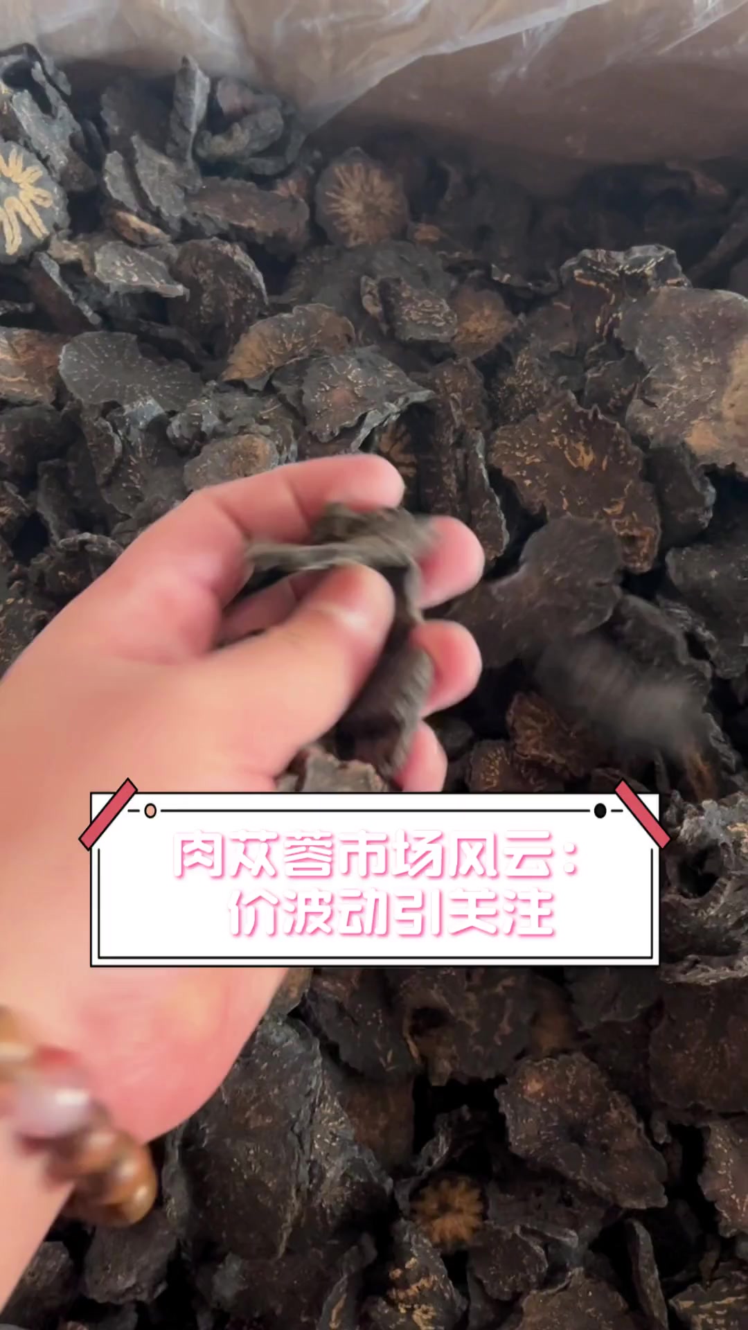 肉苁蓉市场风云:价波动引关注