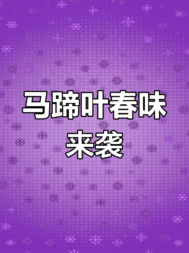 东北马蹄叶,春季美味不容错过!