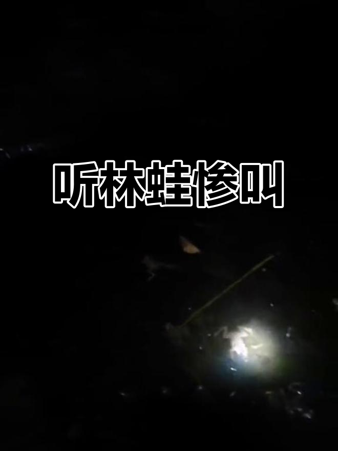 林蛙叫声惊悚,竟然全死了!