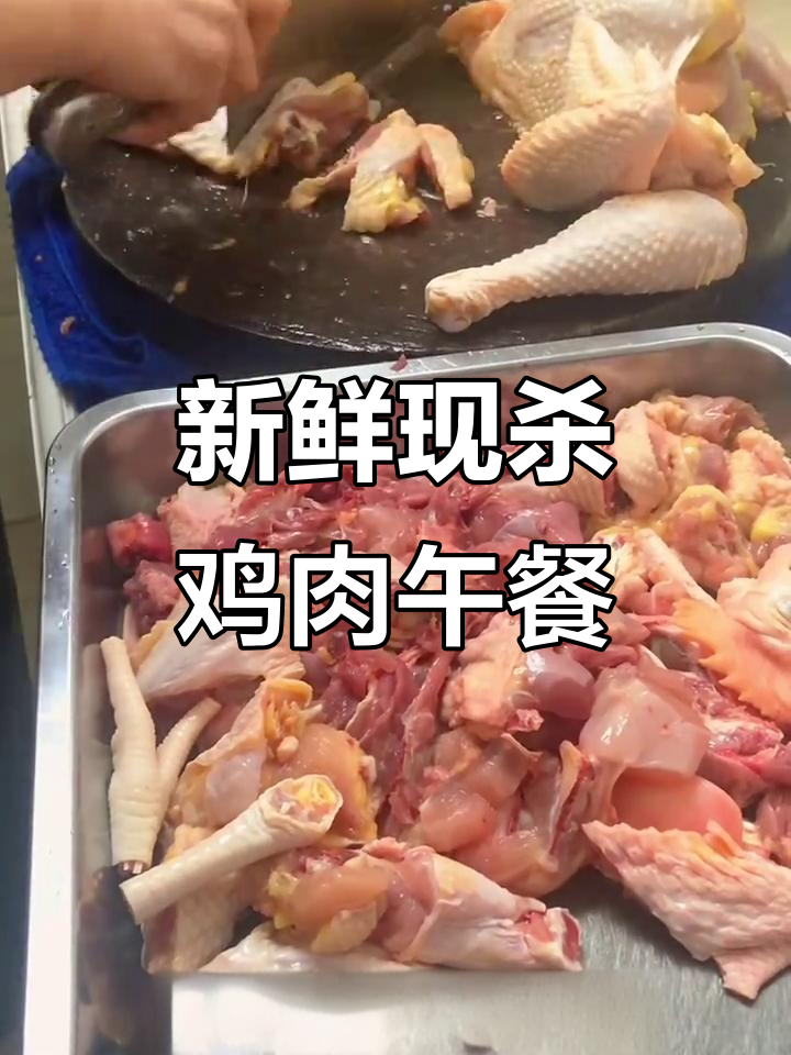 现杀鸡鸭,新鲜美味午托餐,孩子们吃得开心!