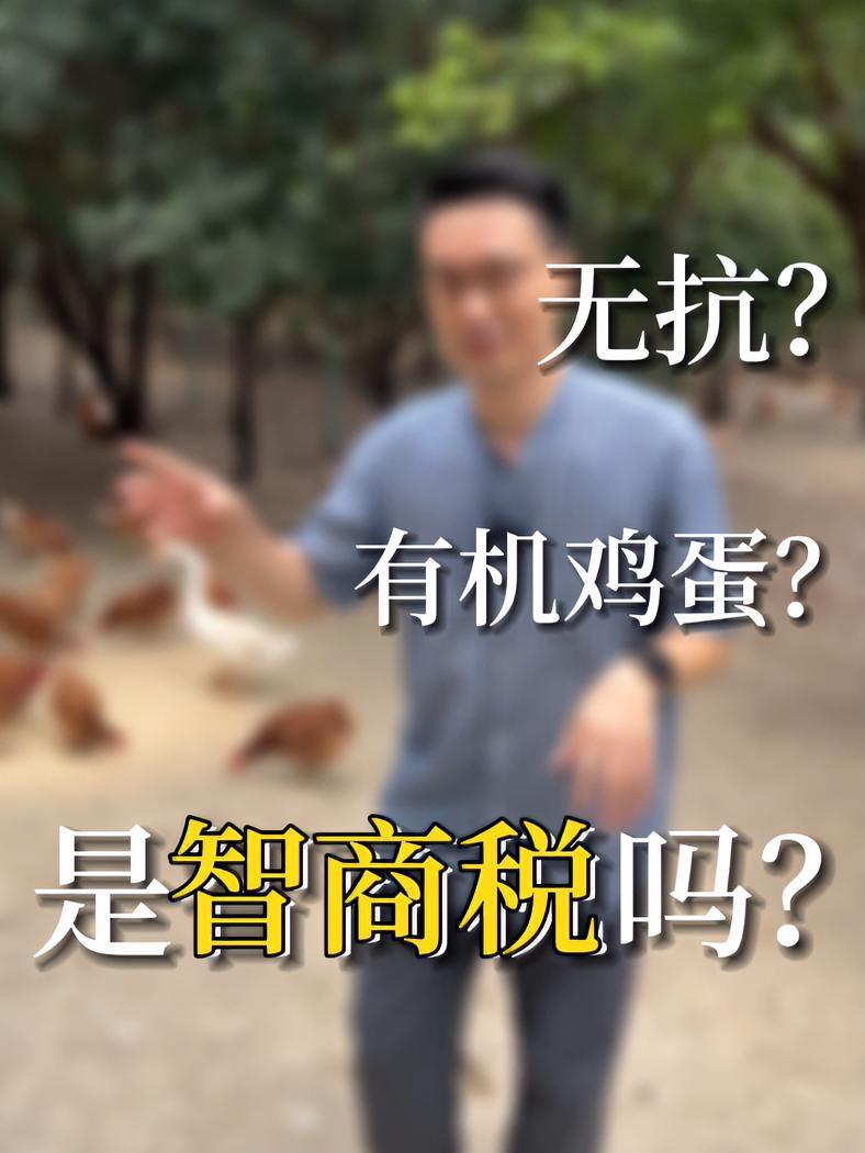 无抗、有机鸡蛋是智商税吗?我为什么会给大家推荐这款有机土鸡蛋?看完咱们土鸡的生活环境以及工