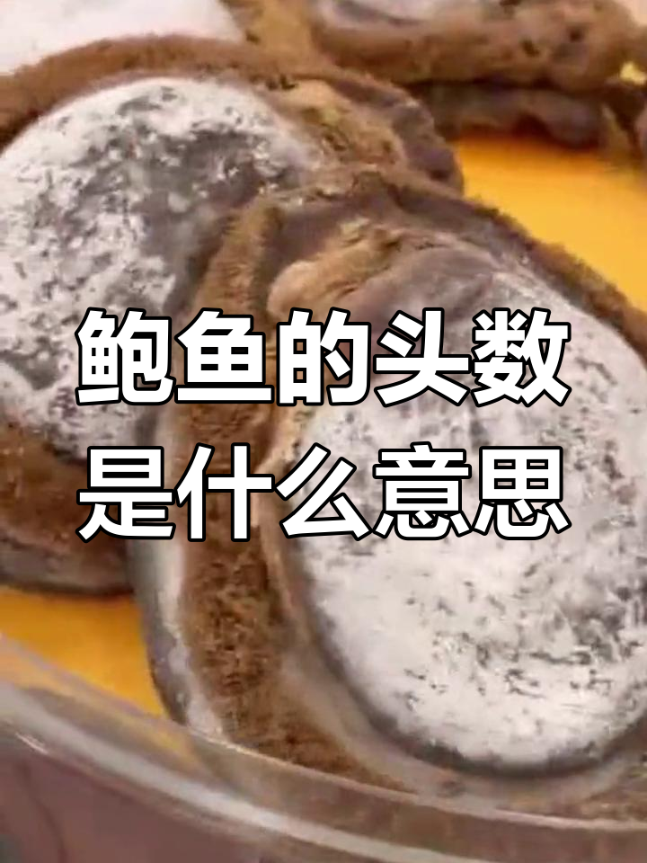 鲍鱼头数揭秘:如何挑选优质干货
