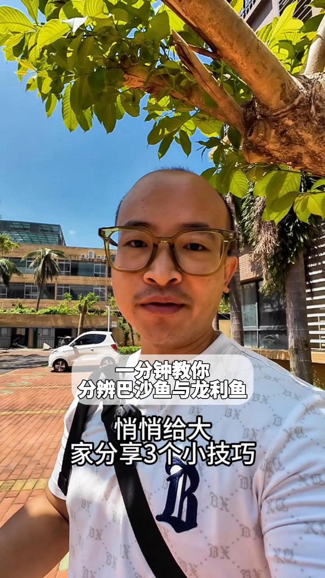 一分钟教你分辨巴沙鱼与龙利鱼