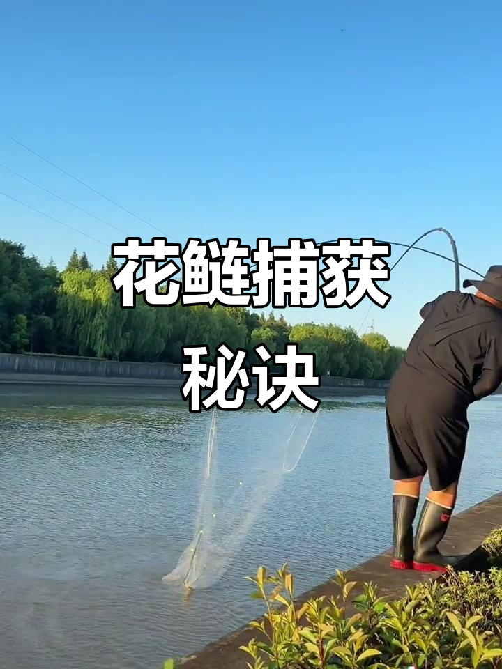 两人默契配合,6.4米杆与手工网完美捕鱼