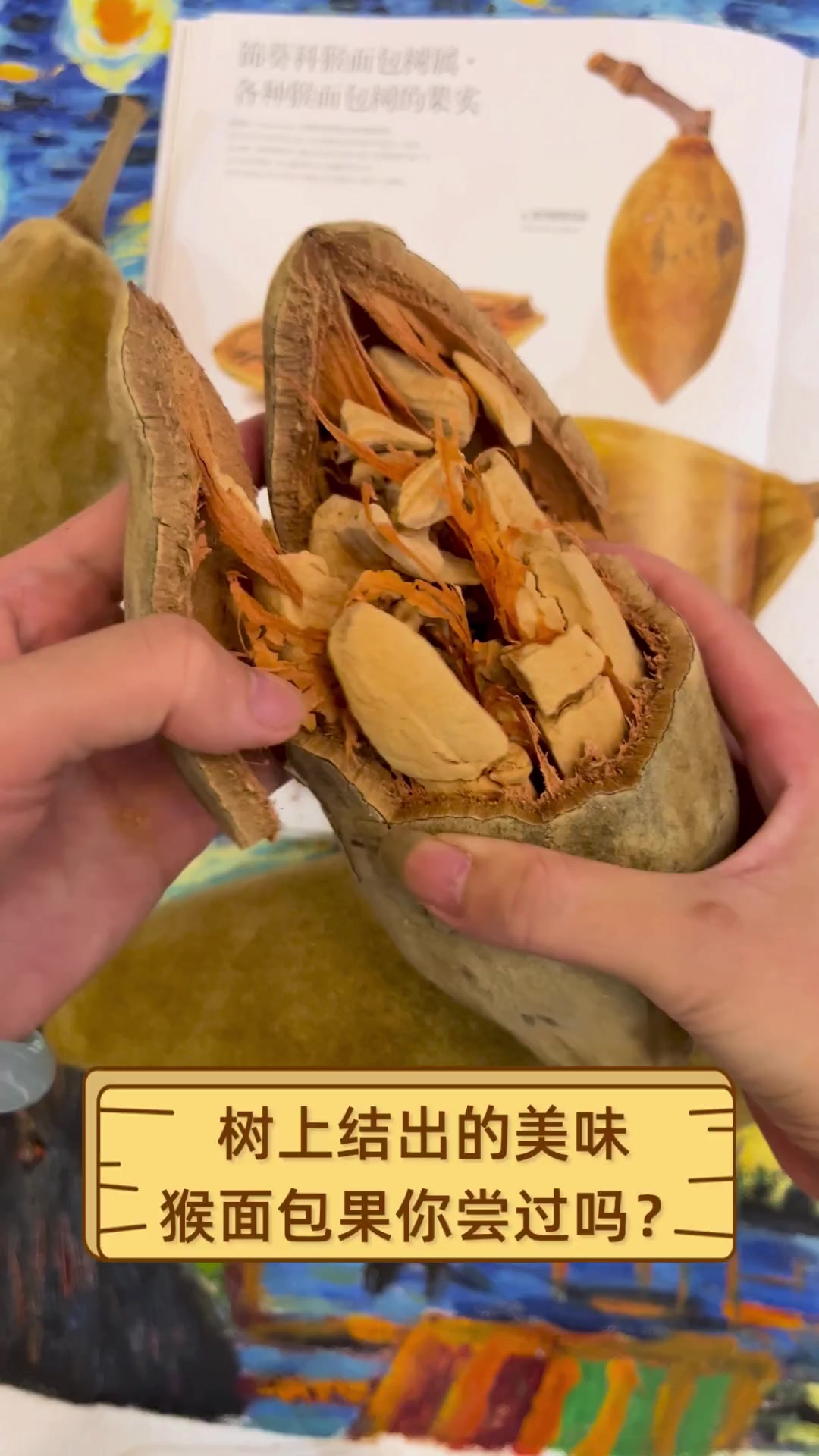 树上结出的美味,猴面包果你尝过吗?