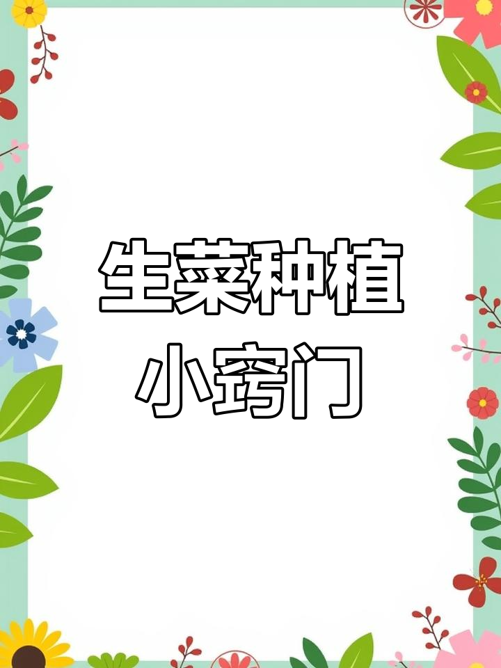 如何让生菜种子快速发芽?这些小技巧你必须知道