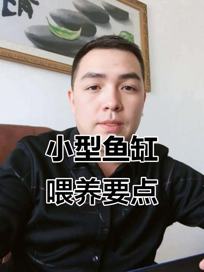 小型鱼缸养护技巧:从喂食到水质管理全攻略