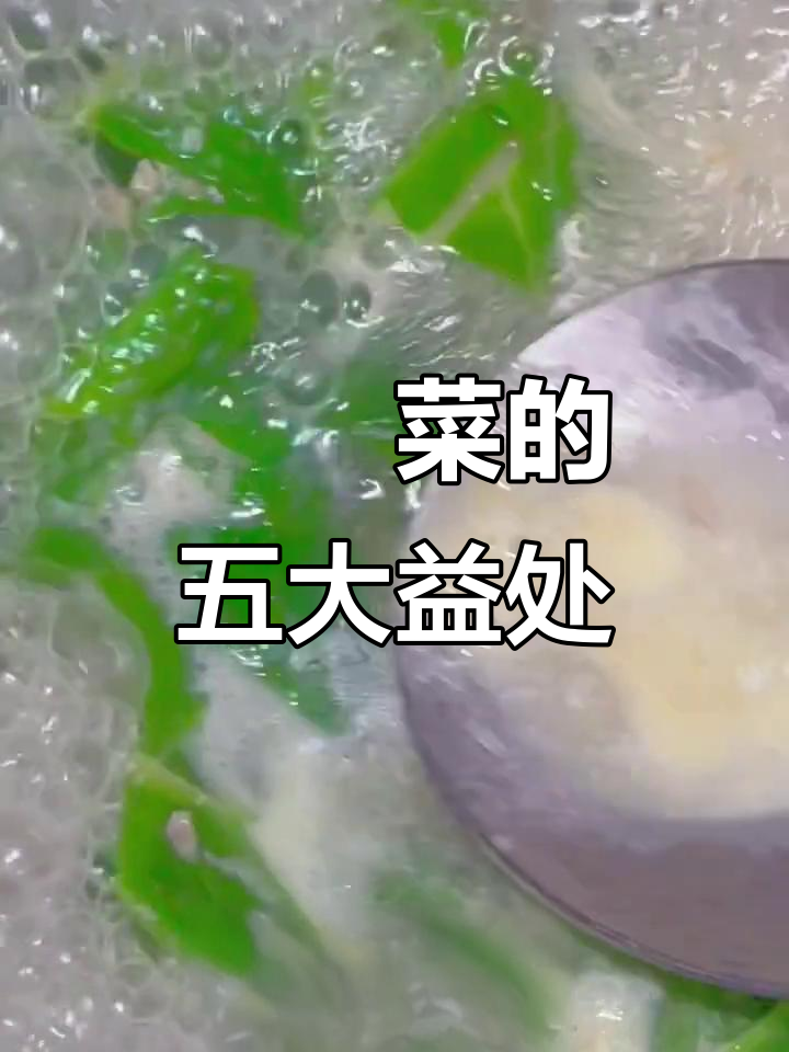 莙荙菜:促进大脑发育,预防视力下降,润肠通便,提高免疫力