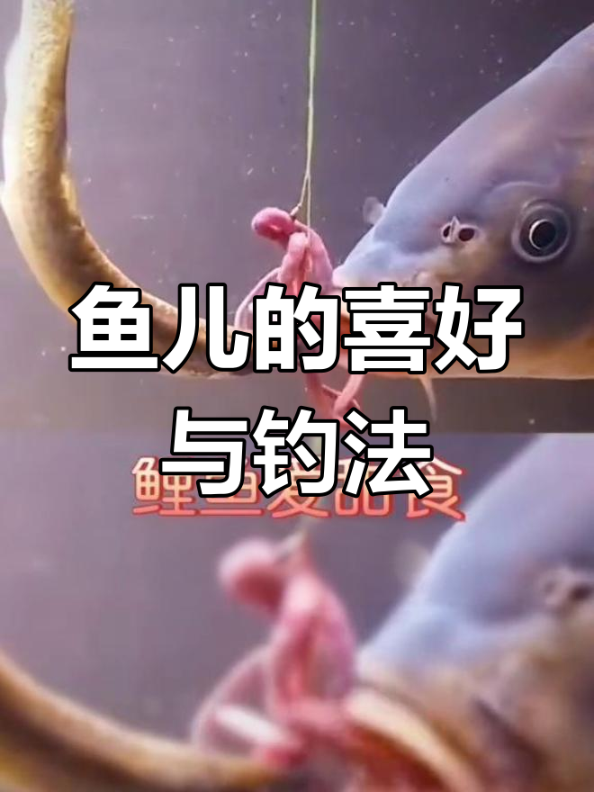 各种鱼儿喜欢的饵料大揭秘,钓鱼技巧全攻略