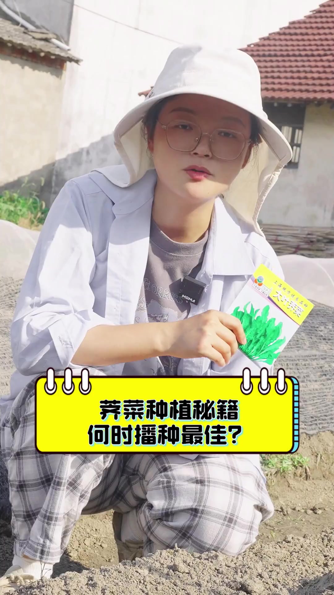 荠菜种植秘籍,何时播种最佳?