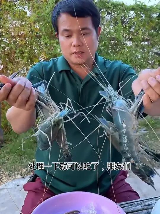 鲜活的大头罗氏虾这食材太好了 #泰国大叔泰国美食内容启发搜索种草激励计划全民任务