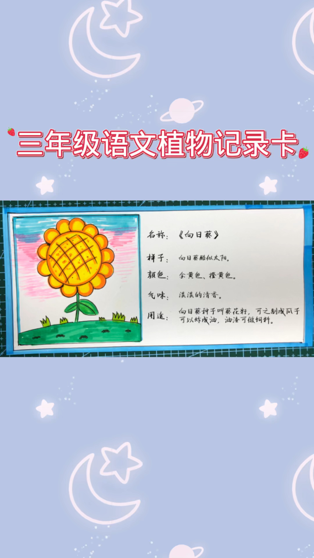 植物记录卡