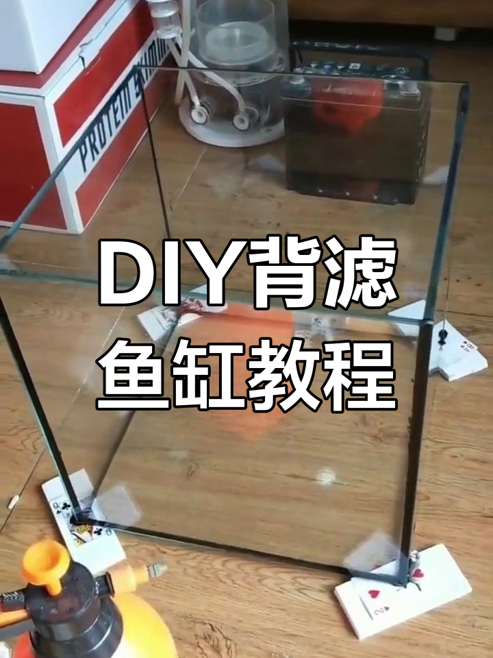 动手做背滤鱼缸,6个视频教你一步步完成!