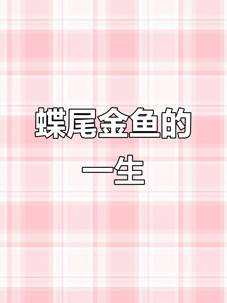 从鱼苗到死亡,一条蝶尾金鱼的成长与遗憾