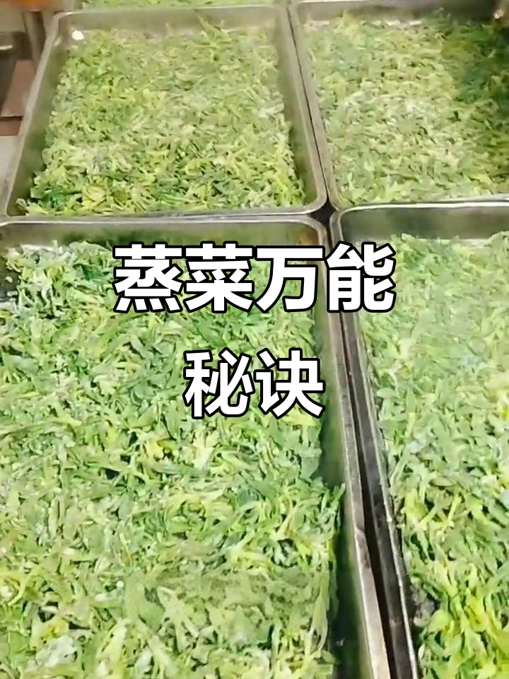 蒸菜小技巧,多种蔬菜通用,简单又美味!