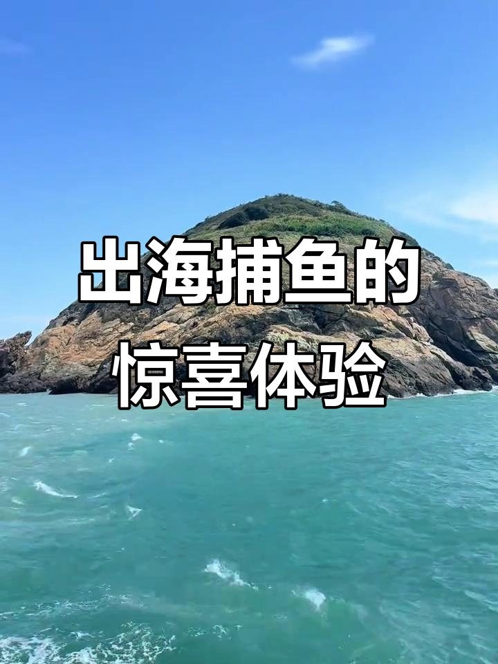 青岛到舟山出海捕鱼,意外收获渔民生活的乐趣
