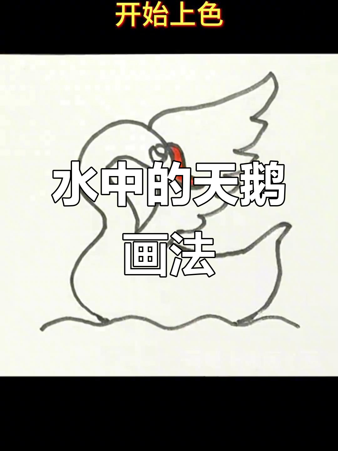 画出水中梳理羽毛的天鹅,简单又可爱