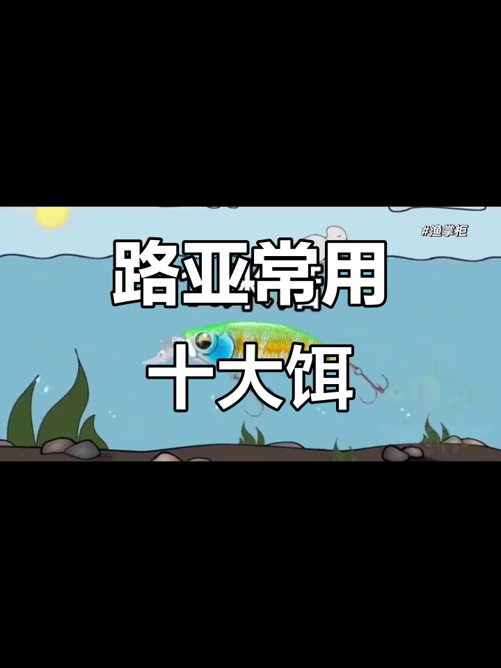 10种常见路亚饵,如何选择最适合你的钓法