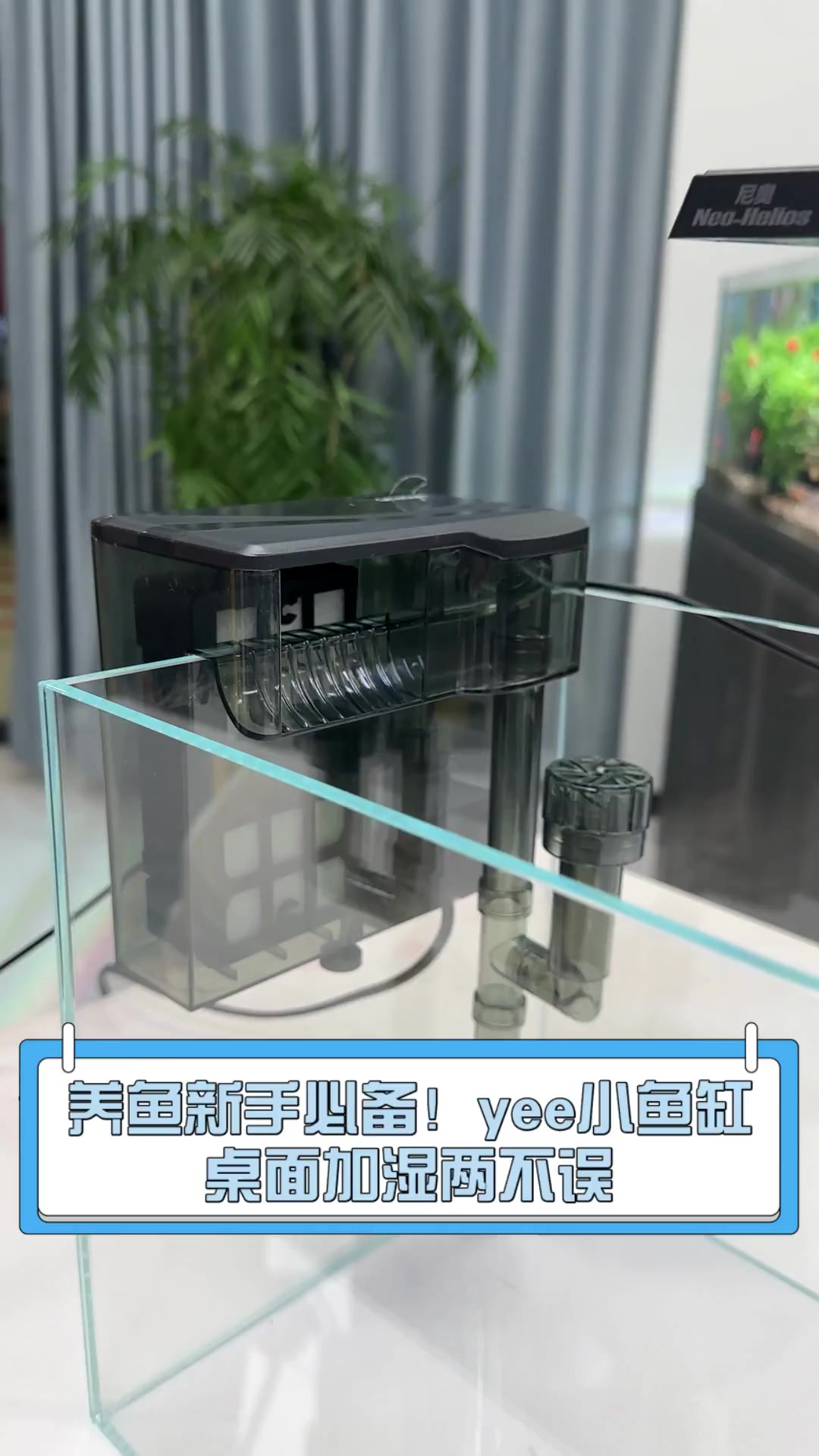 养鱼新手必备!yee小鱼缸,桌面加湿两不误