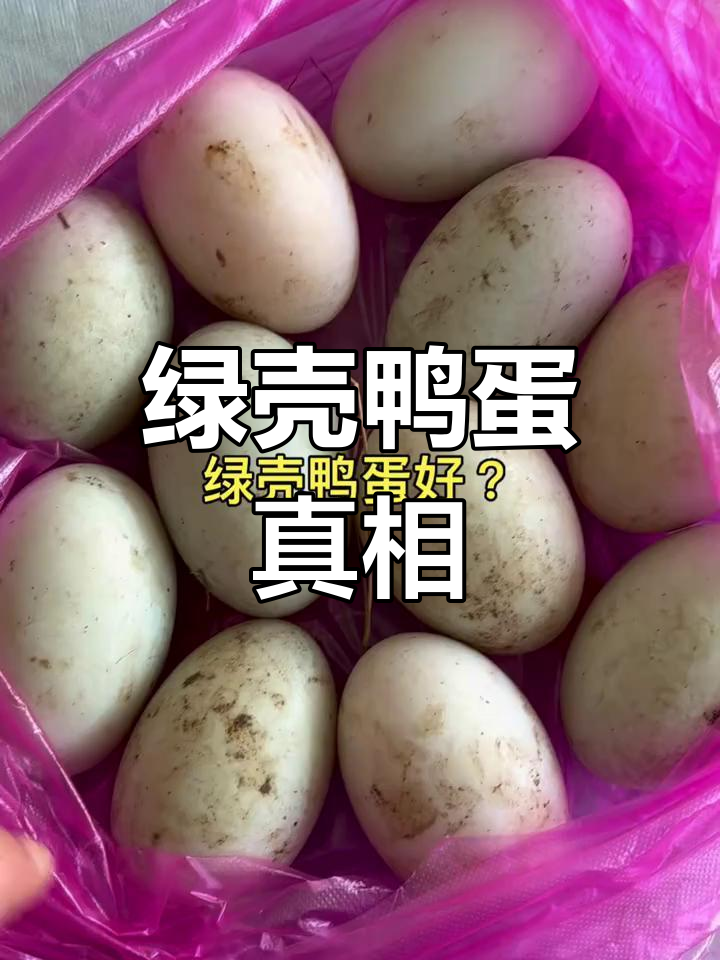 从小听闻绿壳鸭蛋好,但真有那么神奇吗?
