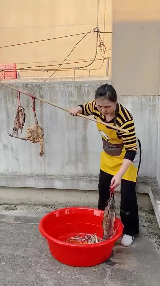 又到了做咸鱼腊肉的季节,用这个挂钩可以方便挂腊肉咸鱼鸭子等