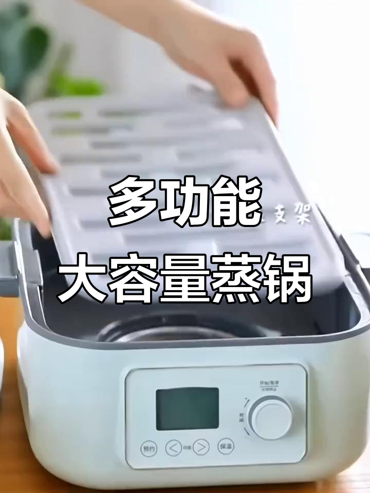 北鼎不锈钢电蒸锅,大容量多功能家用电炖煮一体机