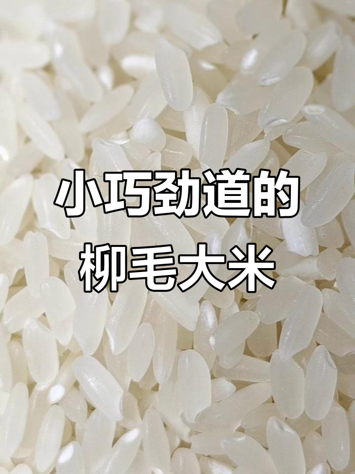 柳毛大米:小而美,劲道十足,家中有此米,煮饭更轻松