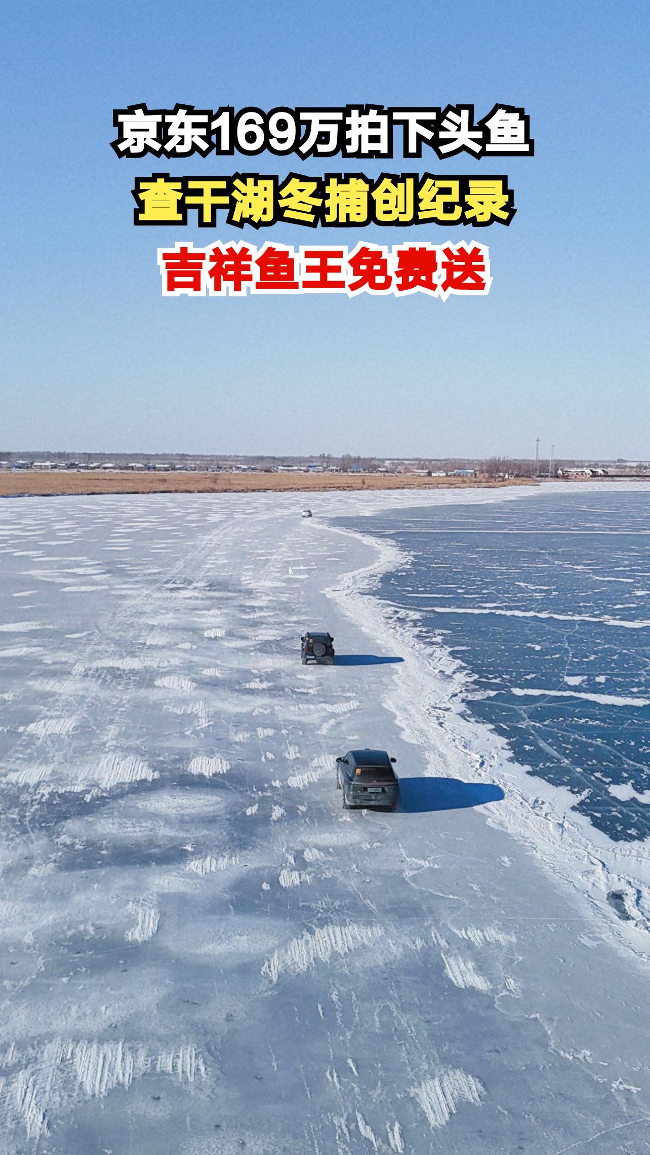 查干湖头鱼拍出169万天价!京东为何如此大手笔?