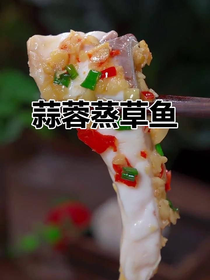 草鱼新吃法,蒜蓉蒸制鲜嫩入味,连刺都带着香气!