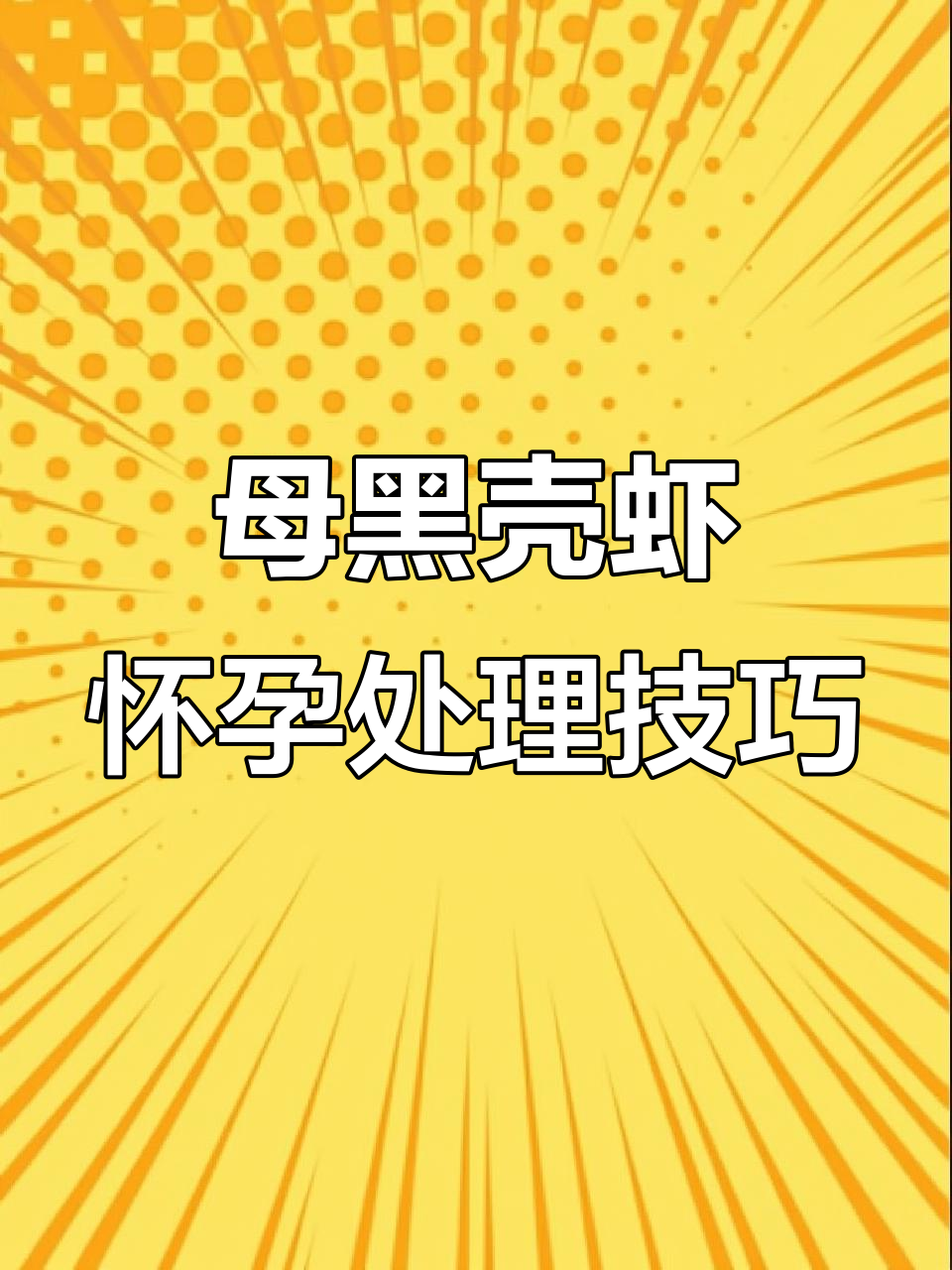 黑壳虾暴卵怎么办？教你轻松繁殖小虾