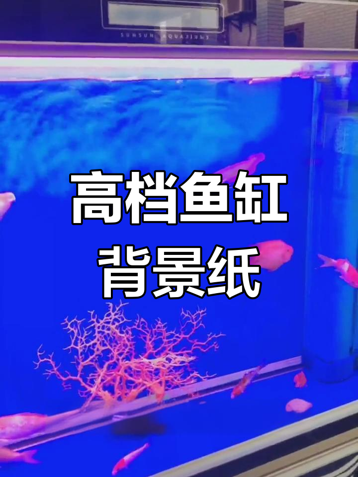 蓝色鱼缸背景贴,提升家居格调