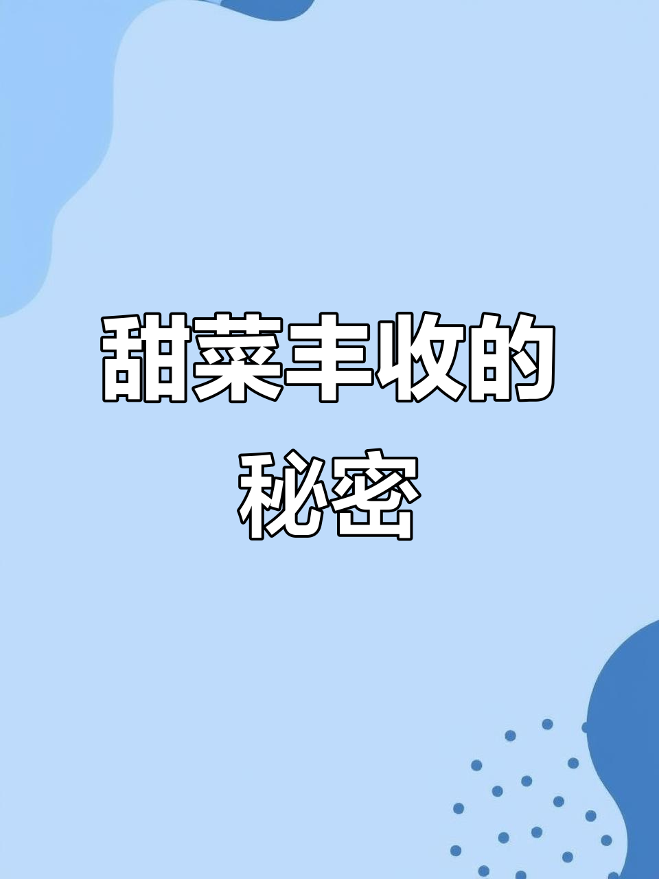 北疆甜菜丰收,日照长温差大,糖分满满!