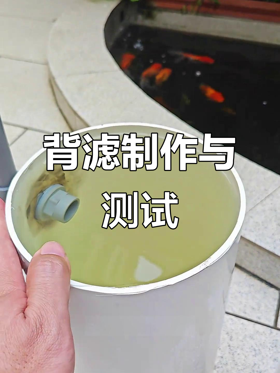 用PVC管打造60鱼缸背滤，测试效果超棒！