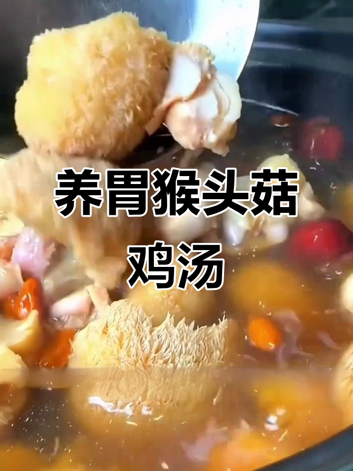 每周三次猴头菇鸡汤,滋补养胃又美味,秋冬进补必备