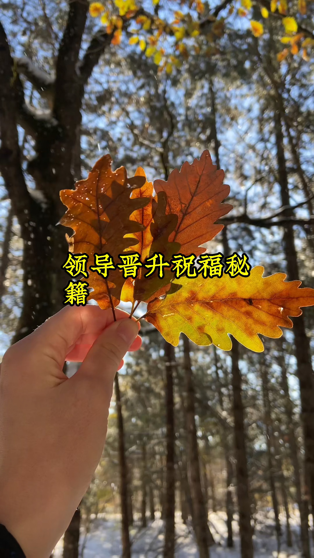 领导晋升祝福语蛋糕贺卡