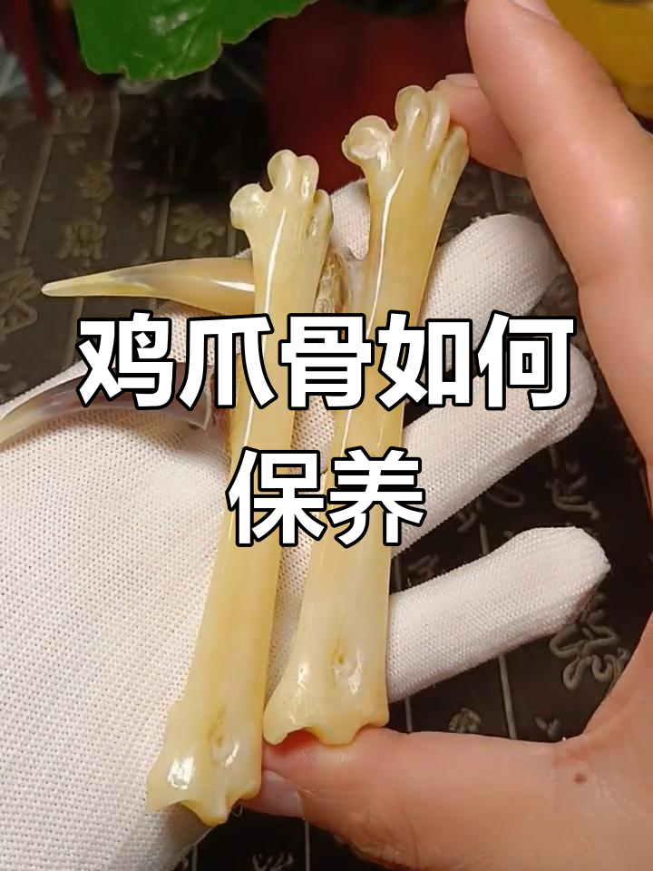 文玩鸡爪骨保养与盘玩技巧