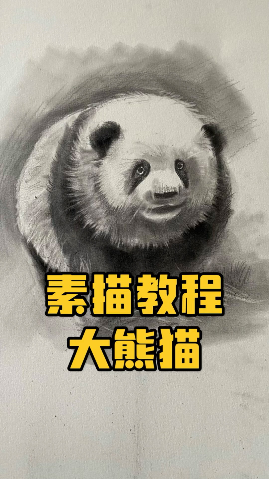 素描大熊猫