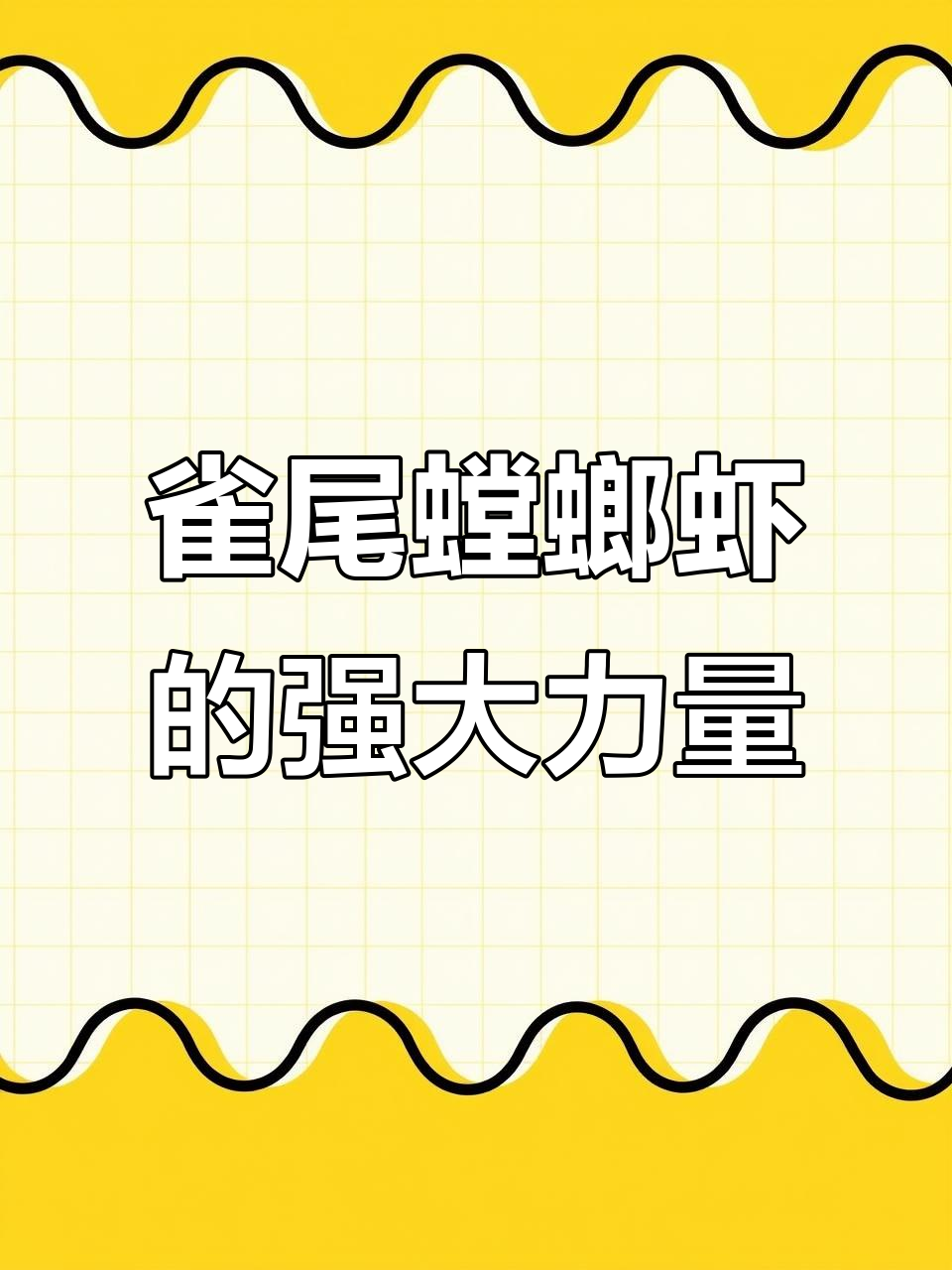海洋泰森!雀尾螳螂虾一拳打碎螃蟹,威力惊人