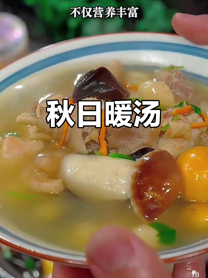 秋季滋补,白果莲子鸡汤温暖家人心窝