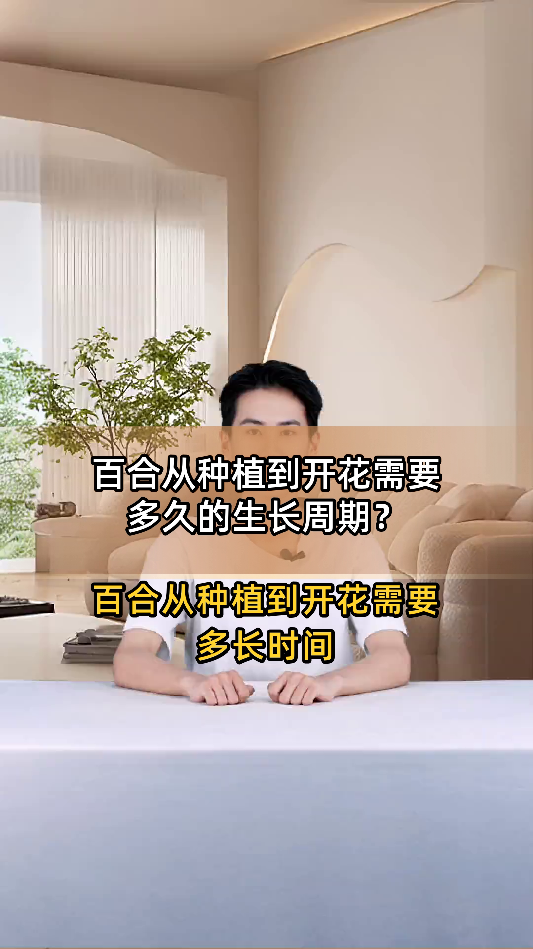 百合从种植到开花需要多久的生长周期?