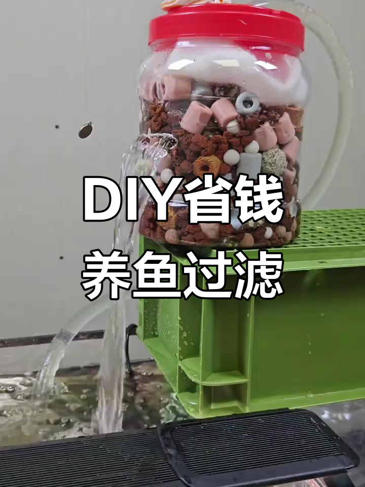 自制低成本鱼缸过滤器,简单又实用